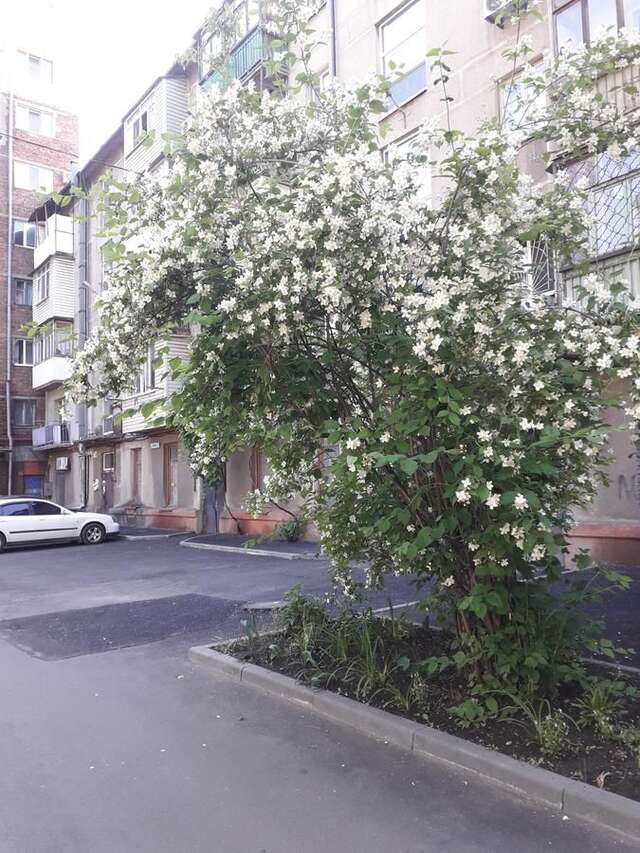 Апартаменты Квартира у моря, в шаговой доступности до центрального пляжа Мариуполь-7